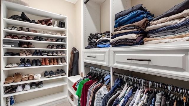 2830 Silver St, Granville, OH 43023 - view of spacious closet