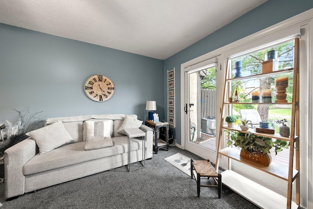 3903 Inverness Cir, Dublin, OH 43016 - living area with dark carpet and a textured ceiling