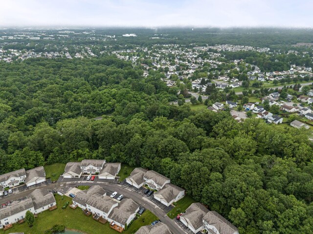 267 Brueghel, Blacklick, OH 43004 - photo 29