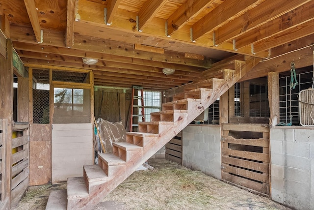 3115 Horseshoe Rd, Delaware, OH 43015 - photo 45