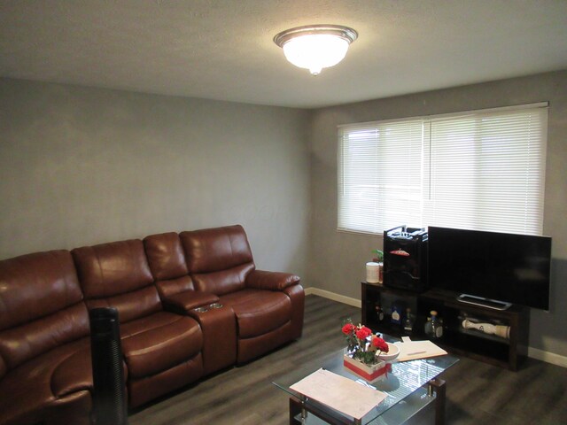 1881 Brimfield Rd, Columbus, OH 43229 - living room featuring wood finished floors and baseboards
