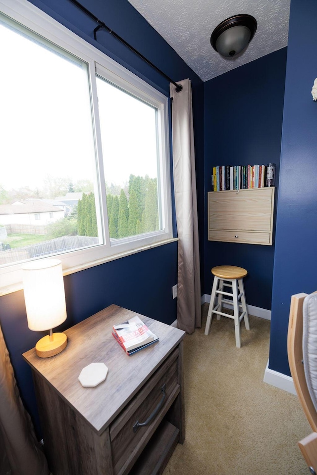 3790 Hunting Ln, Columbus, OH 43230 - carpeted home office featuring baseboards and a textured ceiling