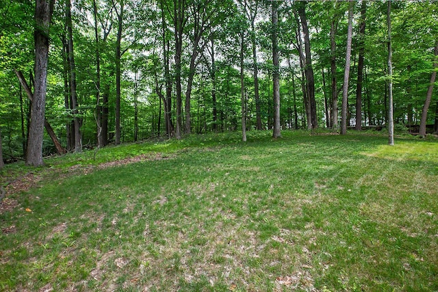2499 Apple Valley Dr, Howard, OH 43028 - view of green lawn featuring a forest view