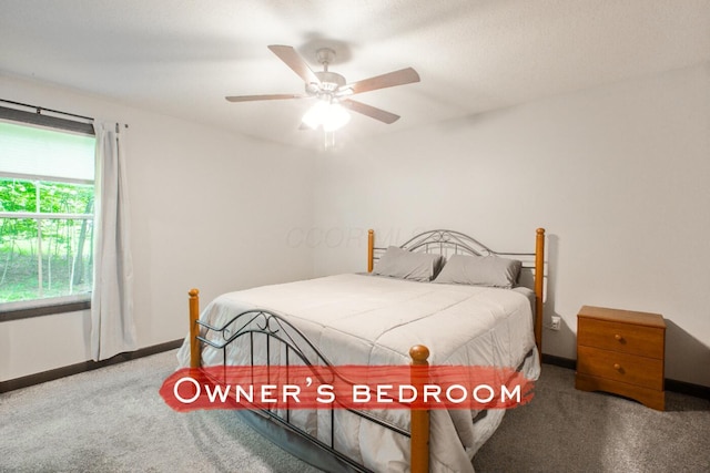 2499 Apple Valley Dr, Howard, OH 43028 - bedroom featuring carpet and ceiling fan