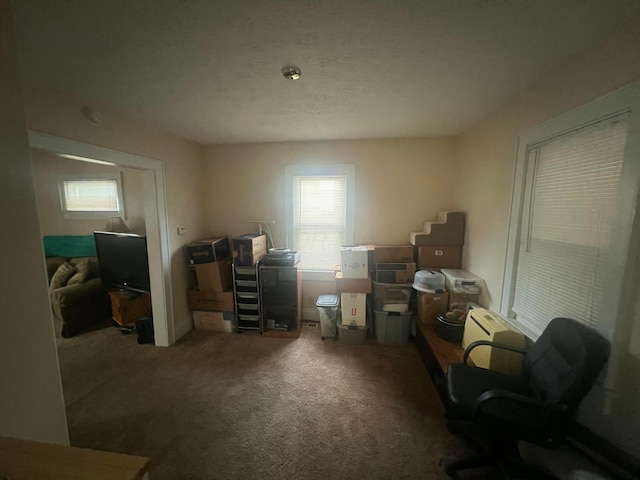 85 Landers Ave, Columbus, OH 43207 - misc room with carpet flooring and an office area