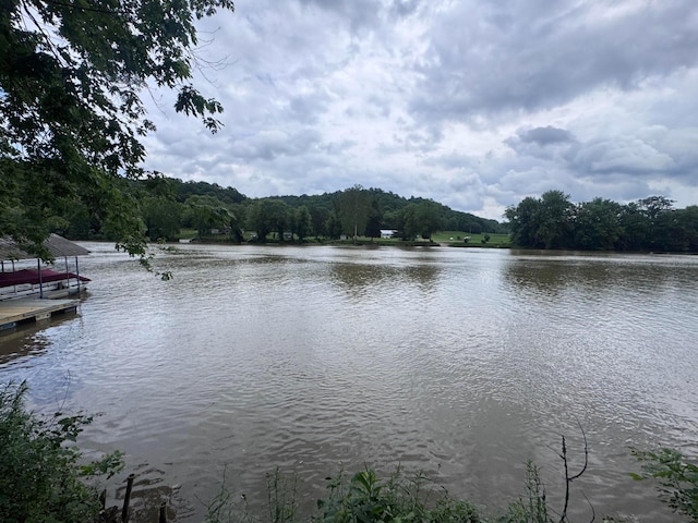 1470 S Riverview Rd, Malta, OH 43758 - water view featuring a floating dock and a forest