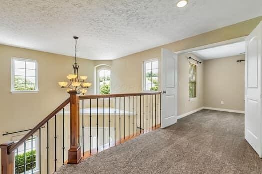 4802 Augusta Woods Ct, Westerville, OH 43082 - photo 27