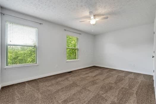 4802 Augusta Woods Ct, Westerville, OH 43082 - photo 36