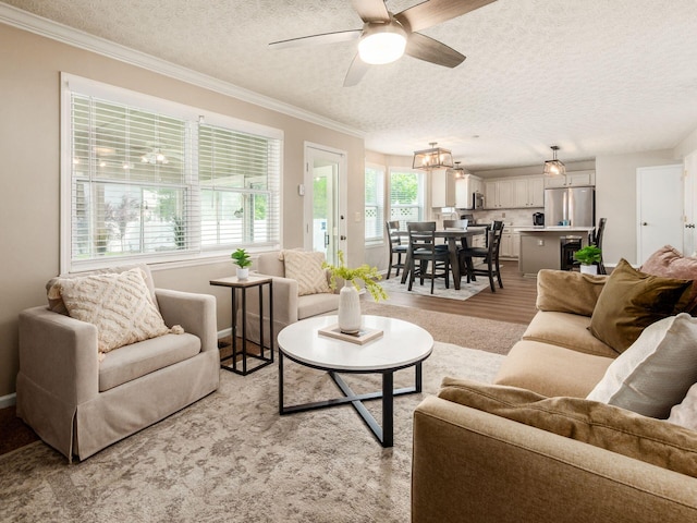 3538 Rosburg Dr, Columbus, OH 43228 - living room with a textured ceiling, light wood finished floors, ceiling fan, crown molding, and a chandelier
