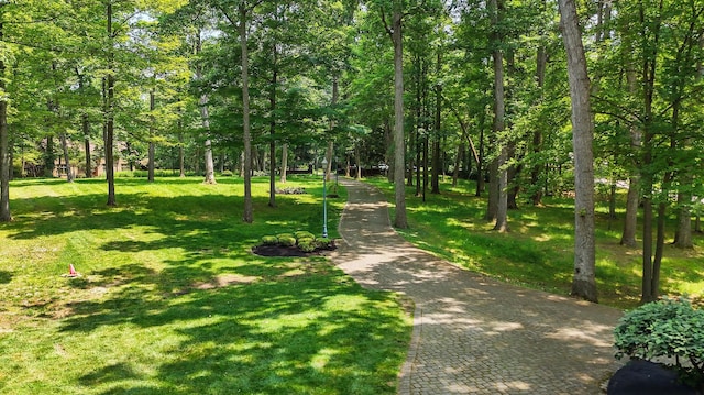 2475 Signal Hill Rd, Springfield, OH 45504 - surrounding community featuring a yard