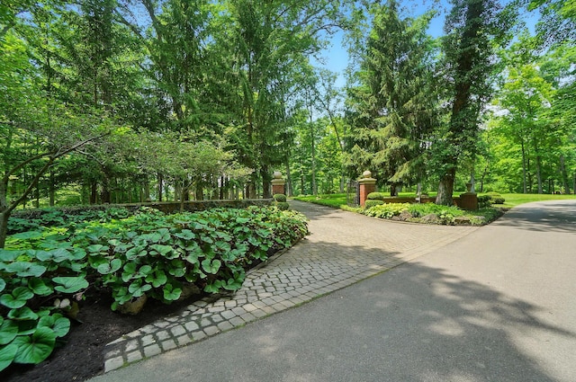 2475 Signal Hill Rd, Springfield, OH 45504 - surrounding community with driveway
