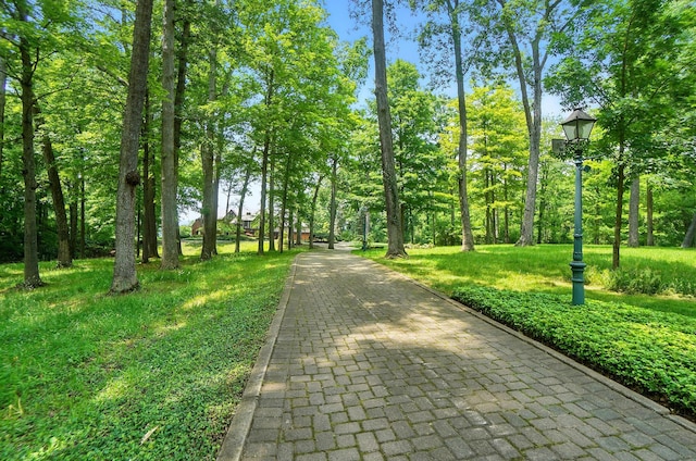 2475 Signal Hill Rd, Springfield, OH 45504 - view of community
