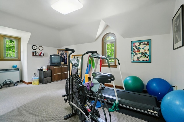 2475 Signal Hill Rd, Springfield, OH 45504 - exercise room with vaulted ceiling, plenty of natural light, and carpet