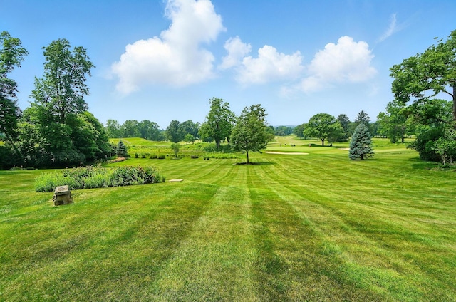 2475 Signal Hill Rd, Springfield, OH 45504 - view of grassy yard featuring view of wooded area