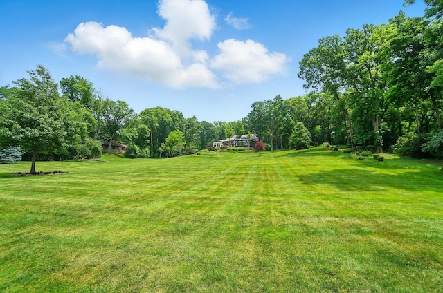 2475 Signal Hill Rd, Springfield, OH 45504 - view of grassy yard