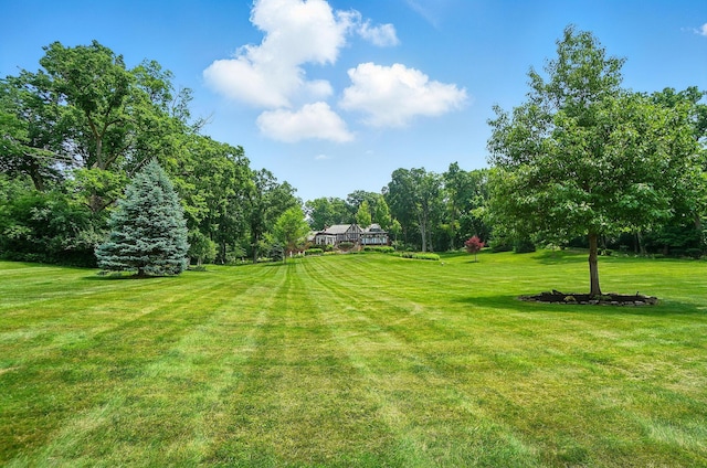 2475 Signal Hill Rd, Springfield, OH 45504 - view of green lawn