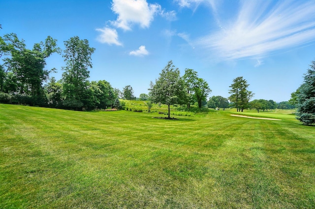 2475 Signal Hill Rd, Springfield, OH 45504 - view of green lawn