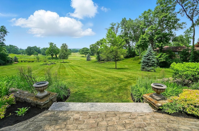 2475 Signal Hill Rd, Springfield, OH 45504 - view of grassy yard