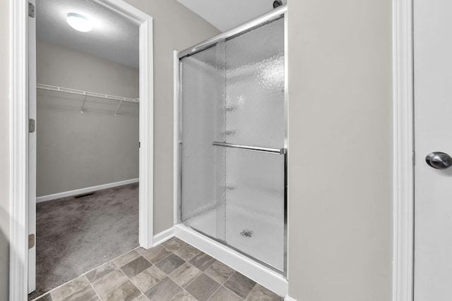 166 Rosewood Loop SE, Commercial Point, OH 43116 - full bathroom featuring a shower stall, a walk in closet, and stone finish floors