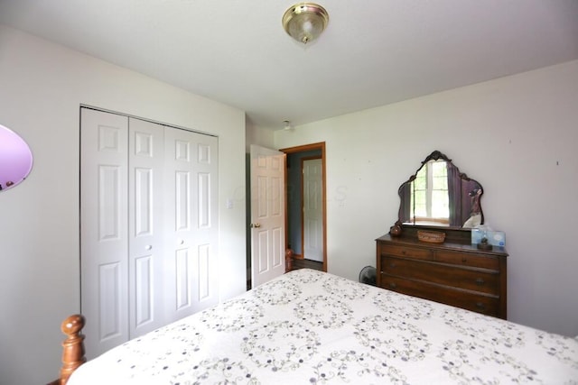 264 Ridgeway Dr, Howard, OH 43028 - bedroom with a closet