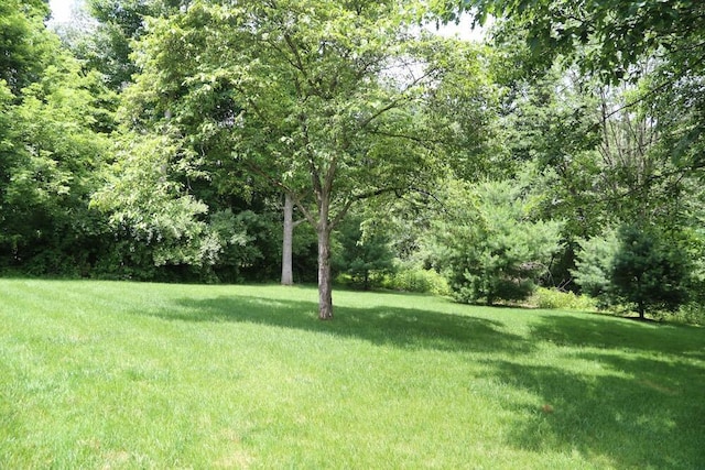 264 Ridgeway Dr, Howard, OH 43028 - view of grassy yard with a view of trees
