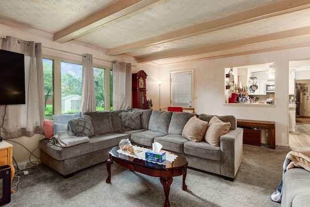 6103 Renner Rd, Columbus, OH 43228 - carpeted living area featuring beamed ceiling, ornamental molding, and a textured ceiling