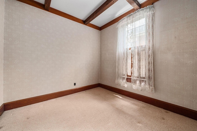 648 S Grant Ave, Columbus, OH 43206 - photo 45