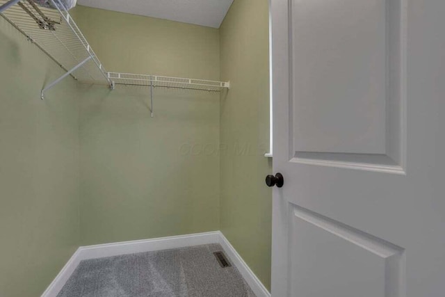 117 Sparrow Ct, Pickerington, OH 43147 - spacious closet with carpet