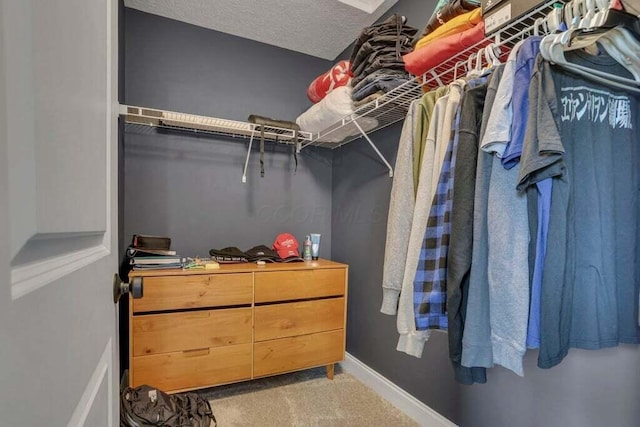 117 Sparrow Ct, Pickerington, OH 43147 - spacious closet featuring carpet floors