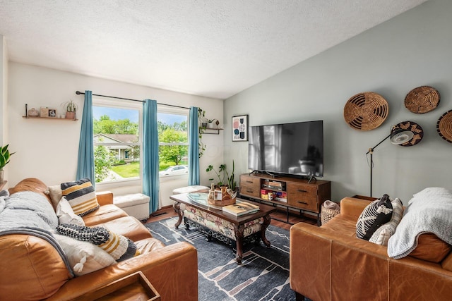 658 Academy Dr, Galloway, OH 43119 - living room with lofted ceiling, a textured ceiling, and wood finished floors