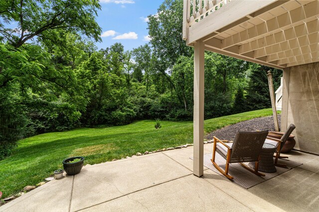 1375 Briarcliffe Dr, Powell, OH 43065 - photo 56