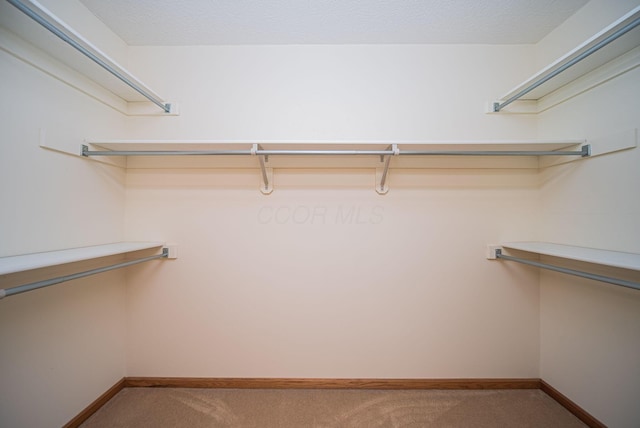 1948 Wendover Cir NE, North Canton, OH 44720 - walk in closet featuring carpet flooring