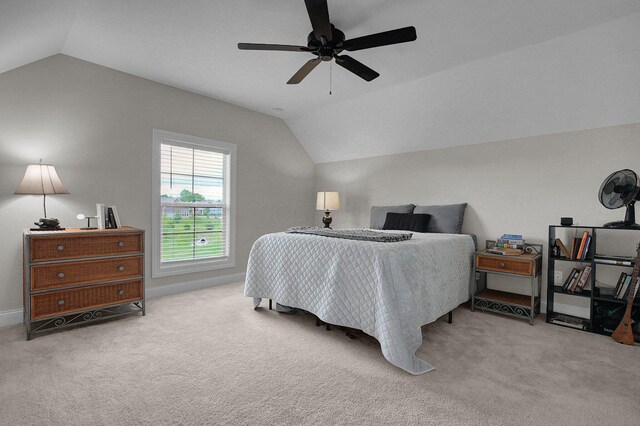6653 Riverrun Ln, Delaware, OH 43015 - photo 38