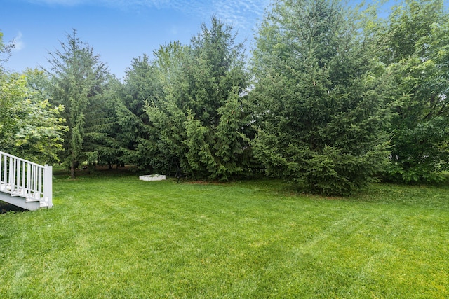 7774 Kingman Pl, Lewis Center, OH 43035 - view of green lawn