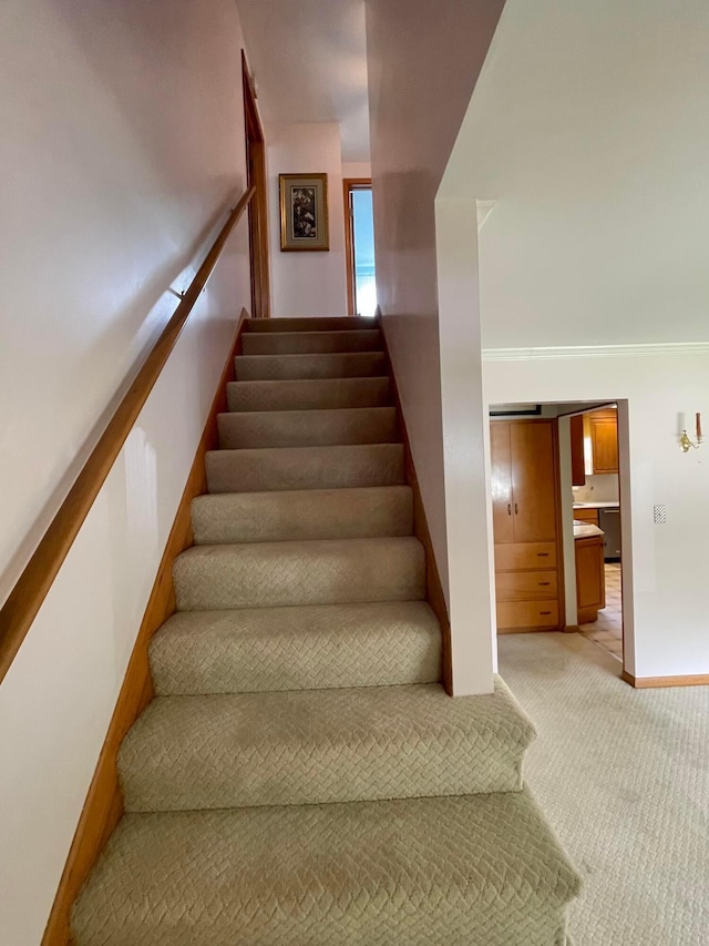2666 Eugene Ave, Grove City, OH 43123 - stairs featuring carpet and baseboards
