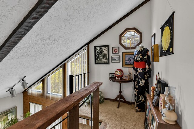 6630 Dutch Lane Rd NW, Johnstown, OH 43031 - photo 47