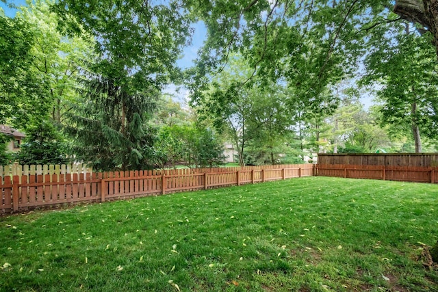 4200 Bowmansroot Ct, Hilliard, OH 43026 - photo 43