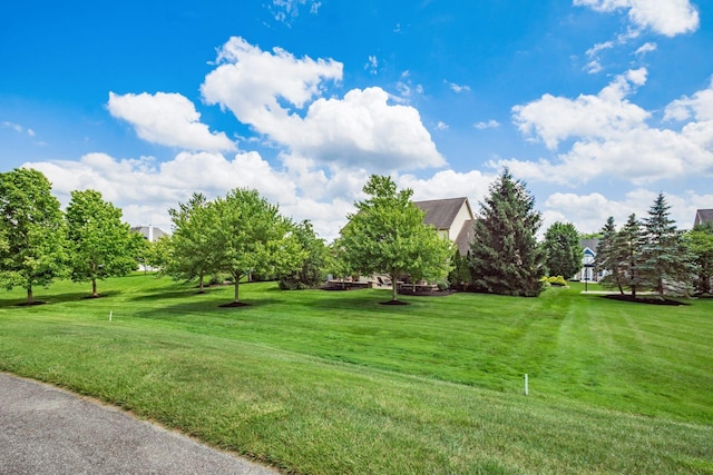 4607 Pine Tree Ct, Westerville, OH 43082 - photo 5
