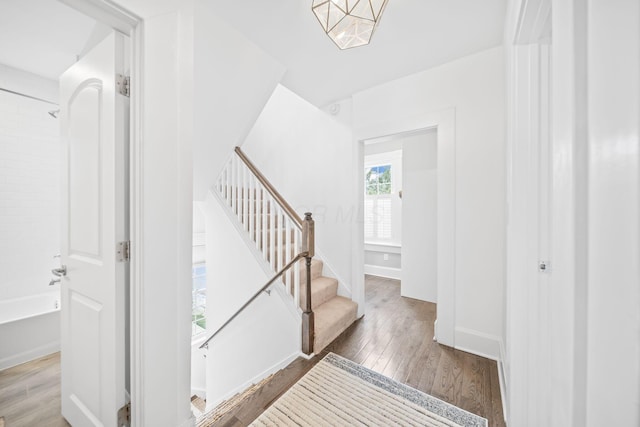 1270 Franklin Ave, Columbus, OH 43205 - photo 23