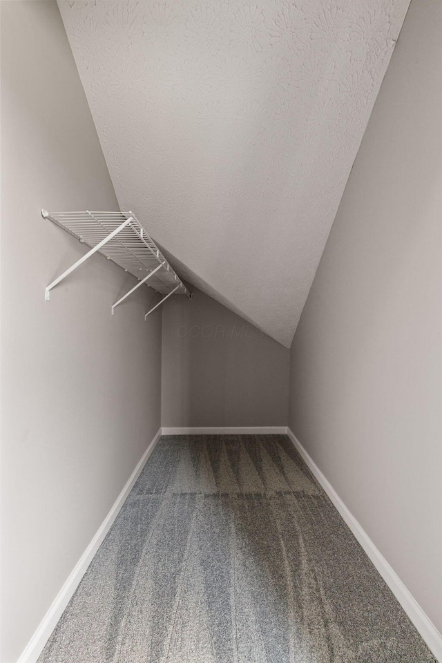 1664 S Champion Ave, Columbus, OH 43207 - walk in closet with lofted ceiling and carpet flooring