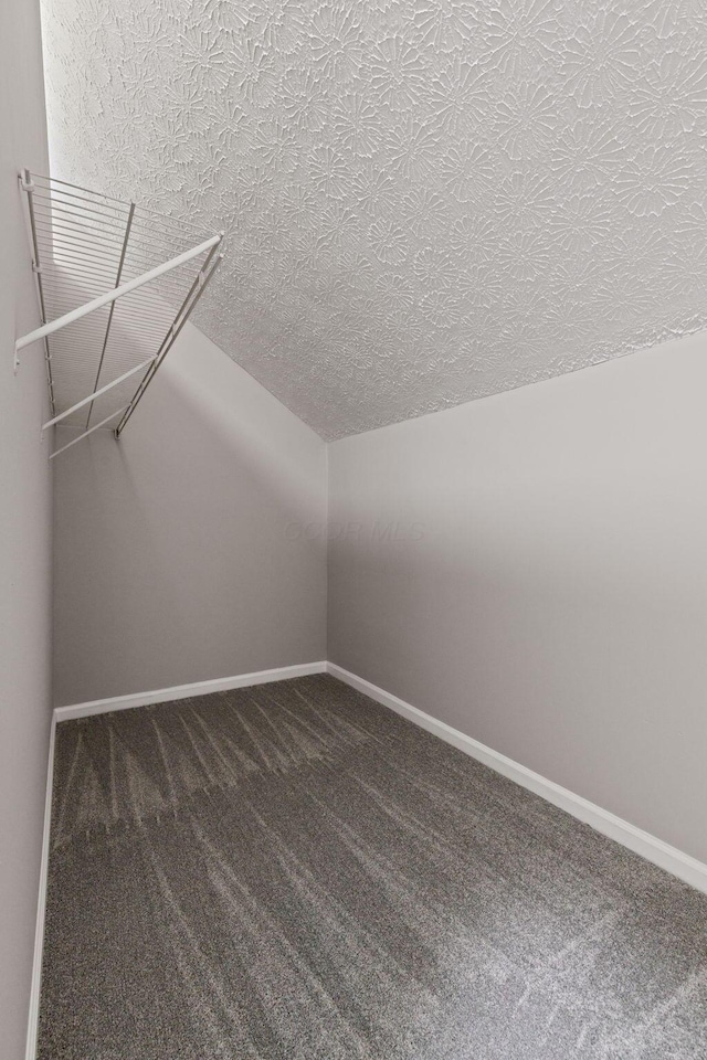 1664 S Champion Ave, Columbus, OH 43207 - spacious closet with vaulted ceiling and carpet floors