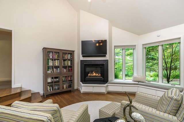 150 Pinehurst Dr, Granville, OH 43023 - living area featuring vaulted ceiling, a glass covered fireplace, and wood finished floors