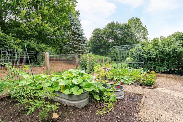 150 Pinehurst Dr, Granville, OH 43023 - view of yard featuring a vegetable garden