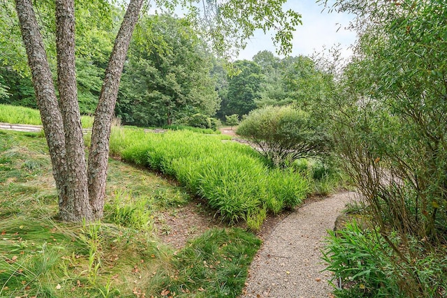 150 Pinehurst Dr, Granville, OH 43023 - view of yard