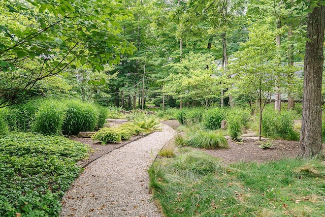 150 Pinehurst Dr, Granville, OH 43023 - view of yard with a view of trees