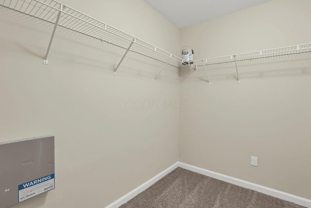 6741 Cherry Bnd, Canal Winchester, OH 43110 - photo 27