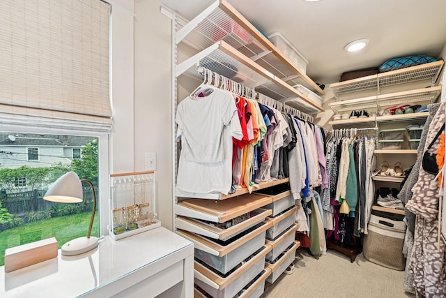 1968 Coventry Rd, Upper Arlington, OH 43212 - walk in closet with carpet floors