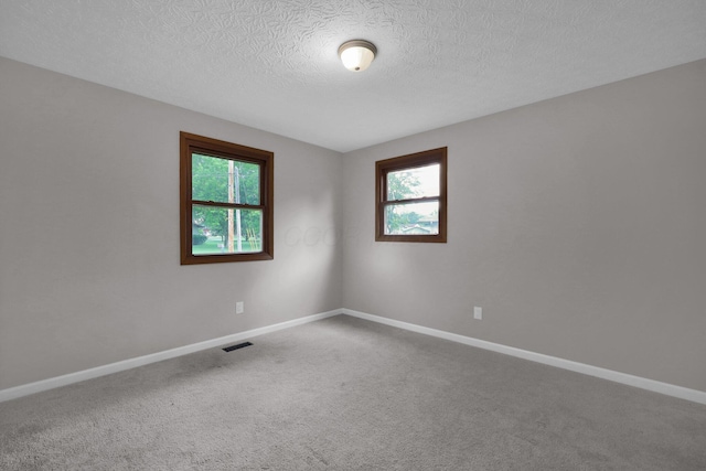 251 Florence Dr, Pickerington, OH 43147 - empty room with plenty of natural light, carpet flooring, and a textured ceiling