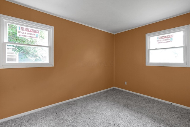 1086 S Hampton Rd, Columbus, OH 43227 - empty room featuring ornamental molding and carpet