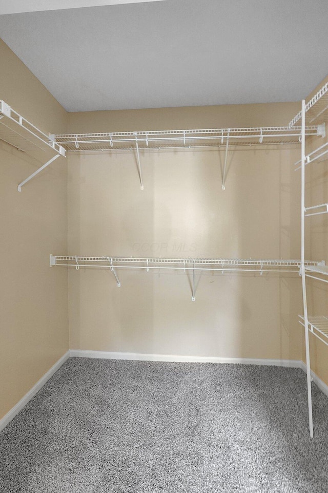 1086 S Hampton Rd, Columbus, OH 43227 - spacious closet with carpet
